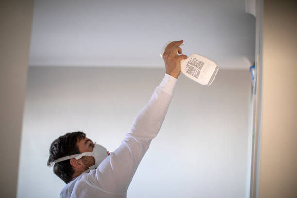 Best Home Mold Removal  in Redwood City, CA