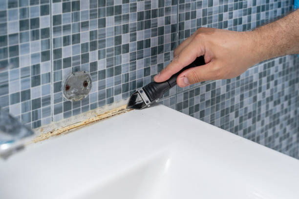 Best Mold Testing  in Redwood City, CA