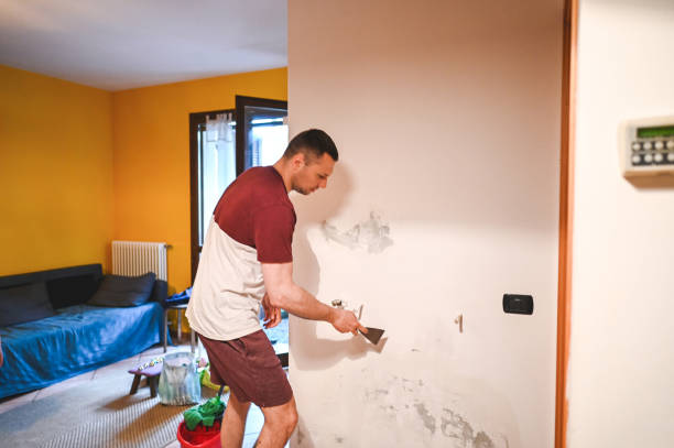 Best Toxic Mold Removal  in Redwood City, CA