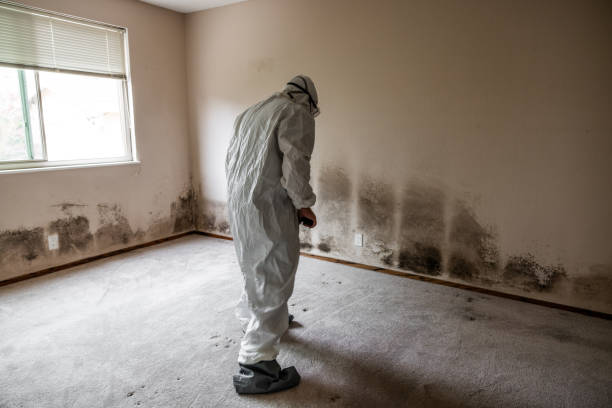 Best Mold Testing  in Redwood City, CA